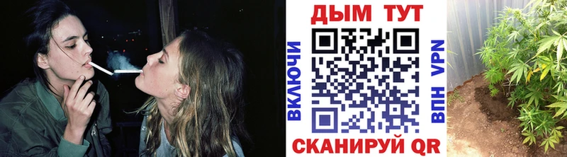  COCAIN Медвежьегорск