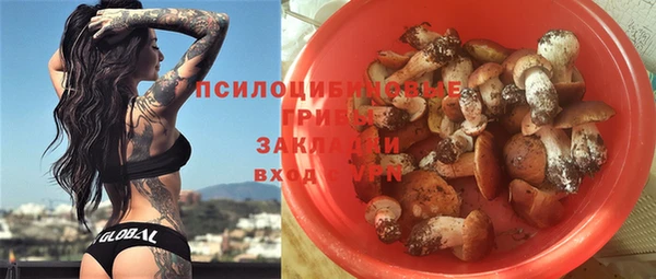 ALPHA-PVP Богородицк