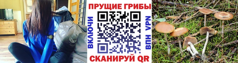 Купить где  Медвежьегорск  Галлюциногенные грибы GOLDEN TEACHER 